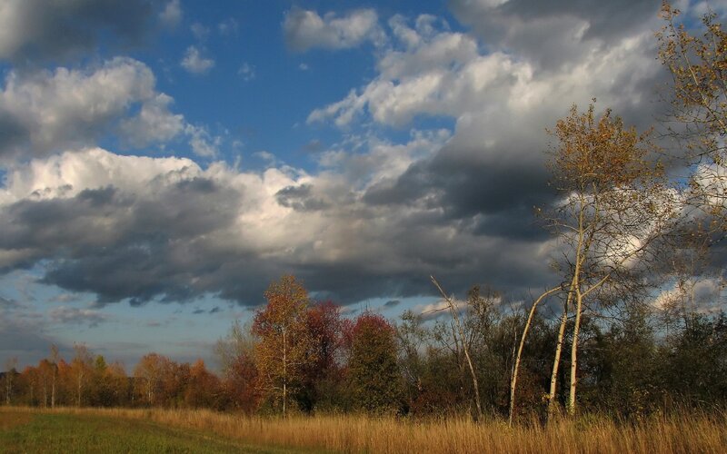 Autumn landscape with dramatic clouds