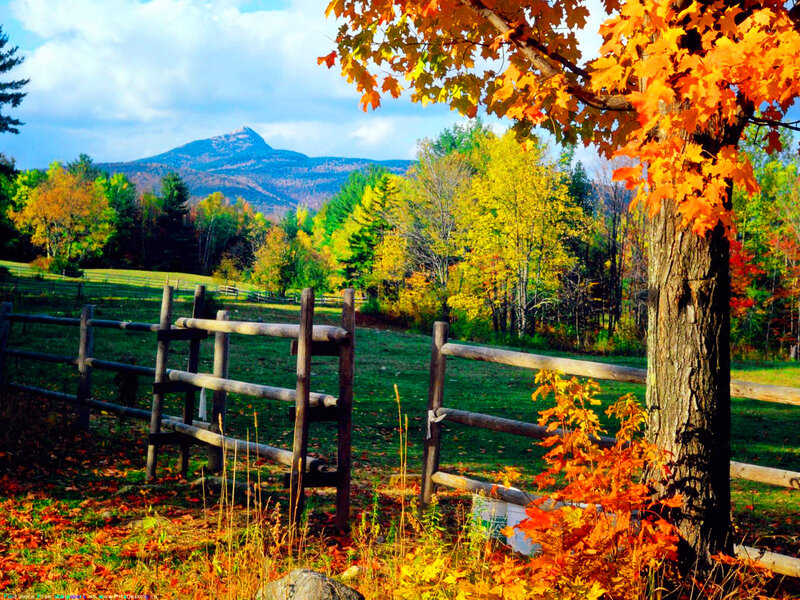 Autumn Landscape with Fence — Orange