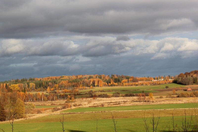 Autumn Landscape with Fields — Green, Dramatic