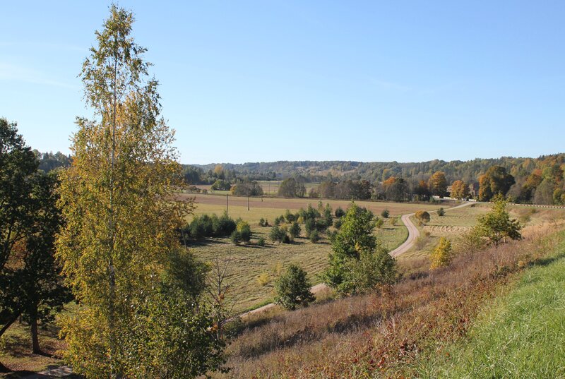 Autumn Landscape with Fields — Green