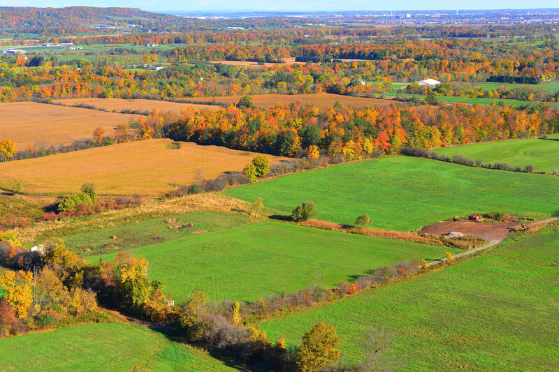 Autumn Landscape with Fields