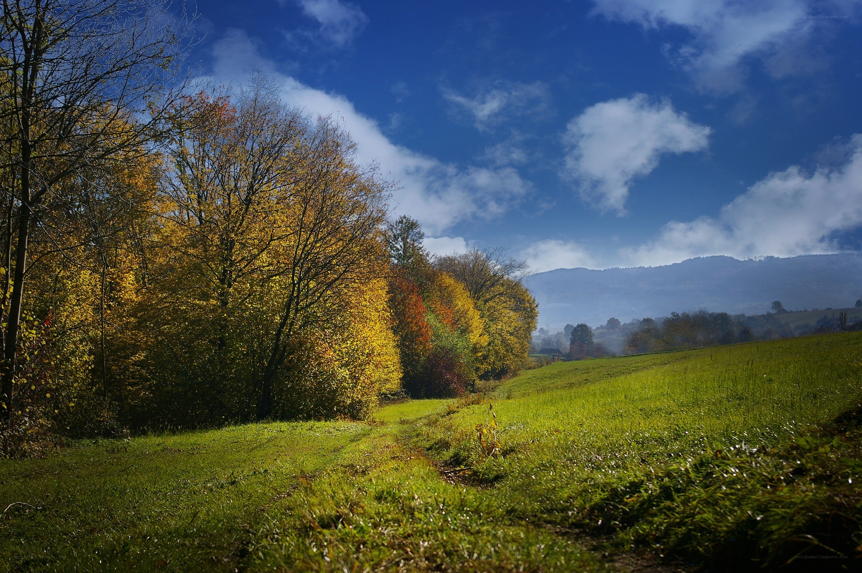 Autumn landscape with forest and mountains