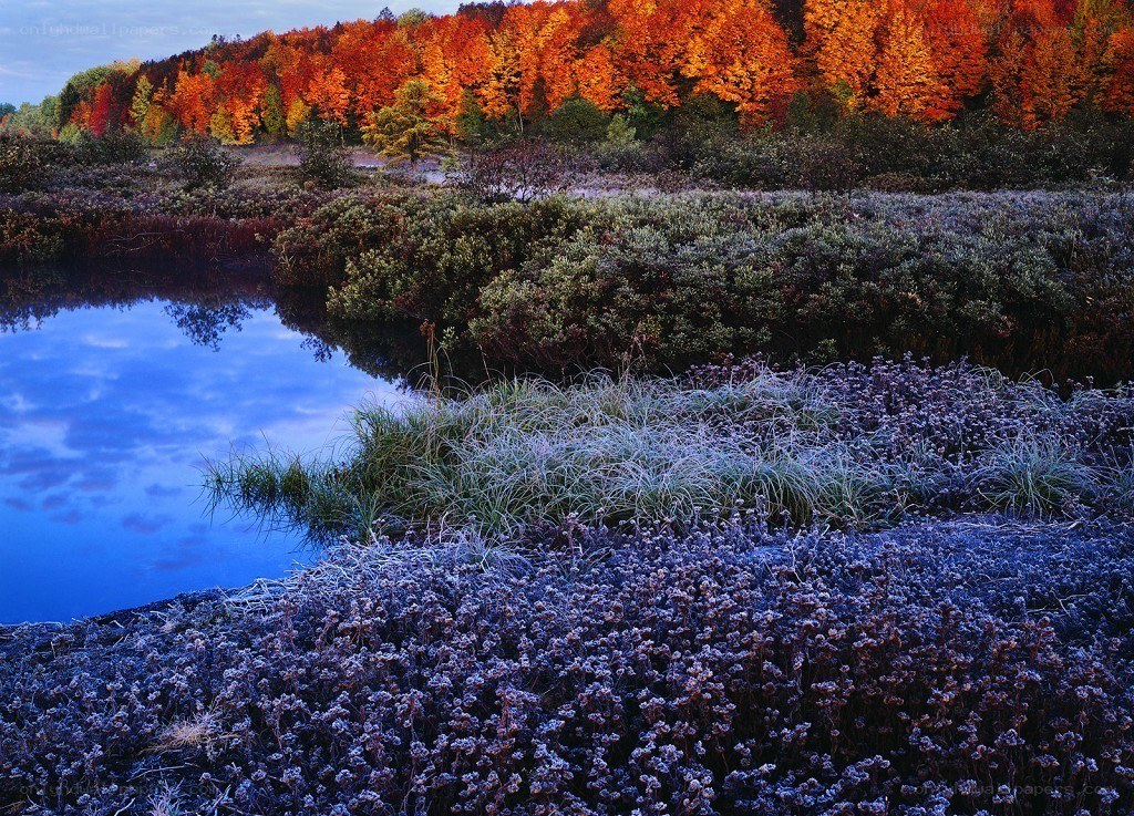 Autumn landscape with frost