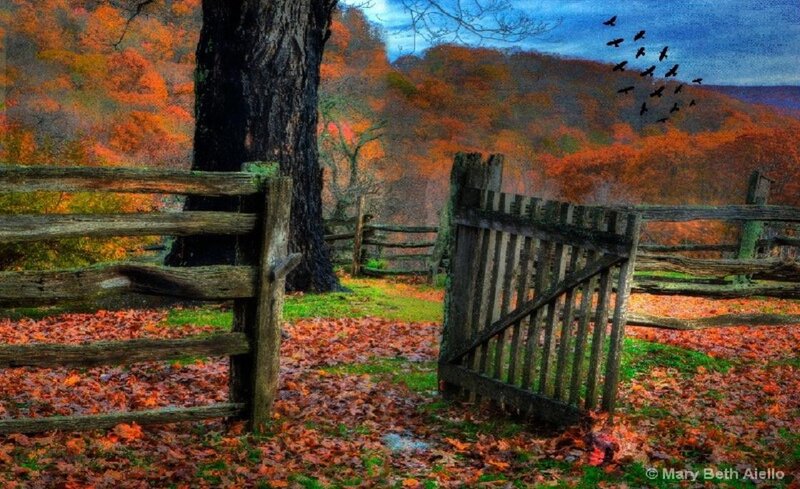 Autumn Landscape with Gate