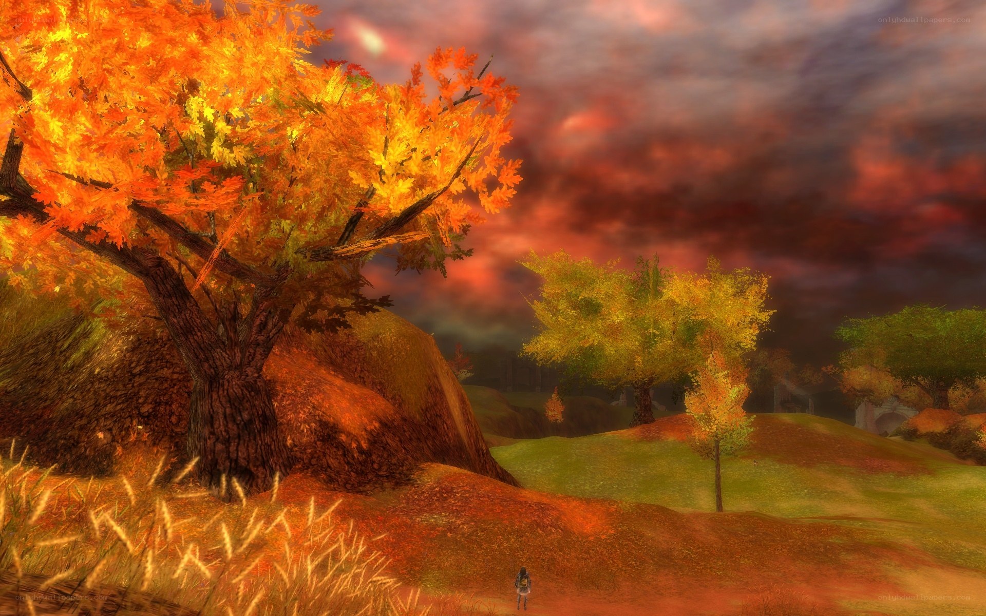 Autumn landscape with glowing trees
