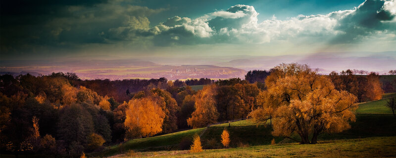 Autumn landscape with golden trees