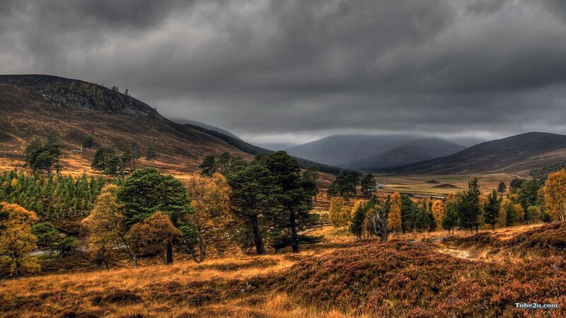 Autumn landscape with hills