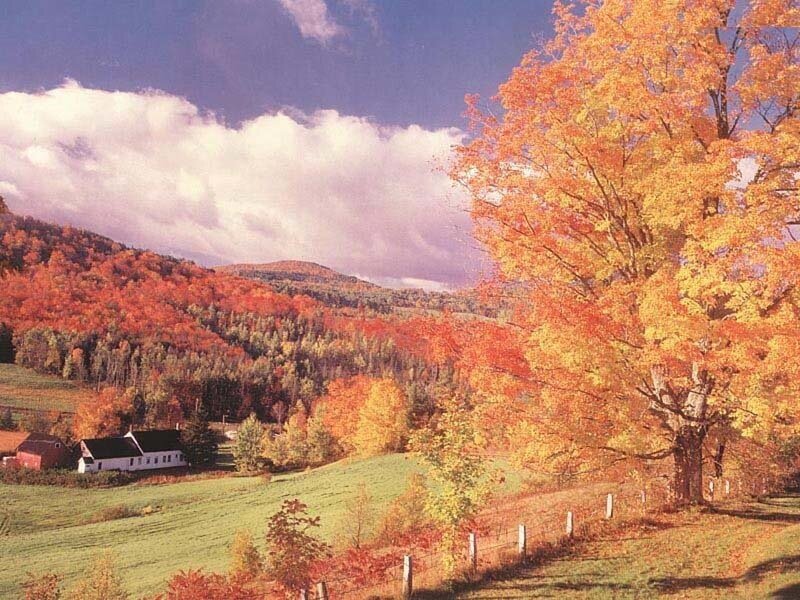 Autumn Landscape with House — Orange, Serene