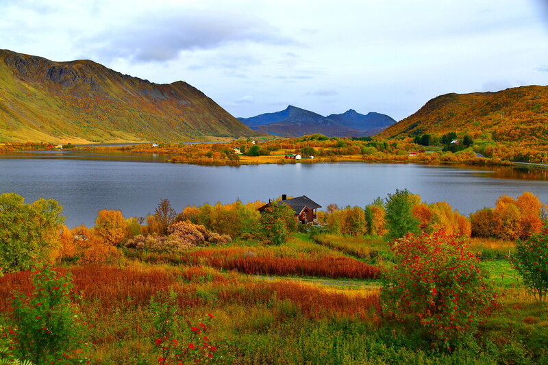 Autumn Landscape with Lake — Green