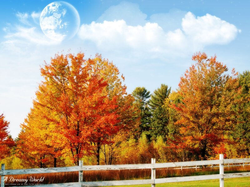 Autumn landscape with moon