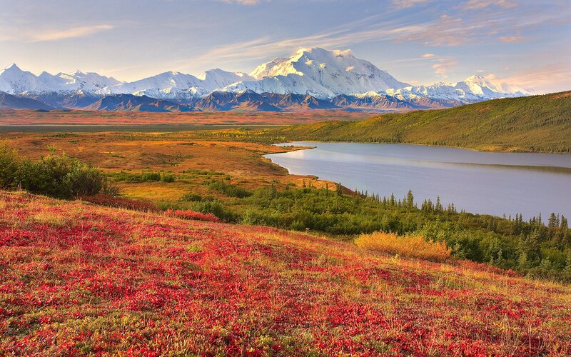 Autumn landscape with mountain