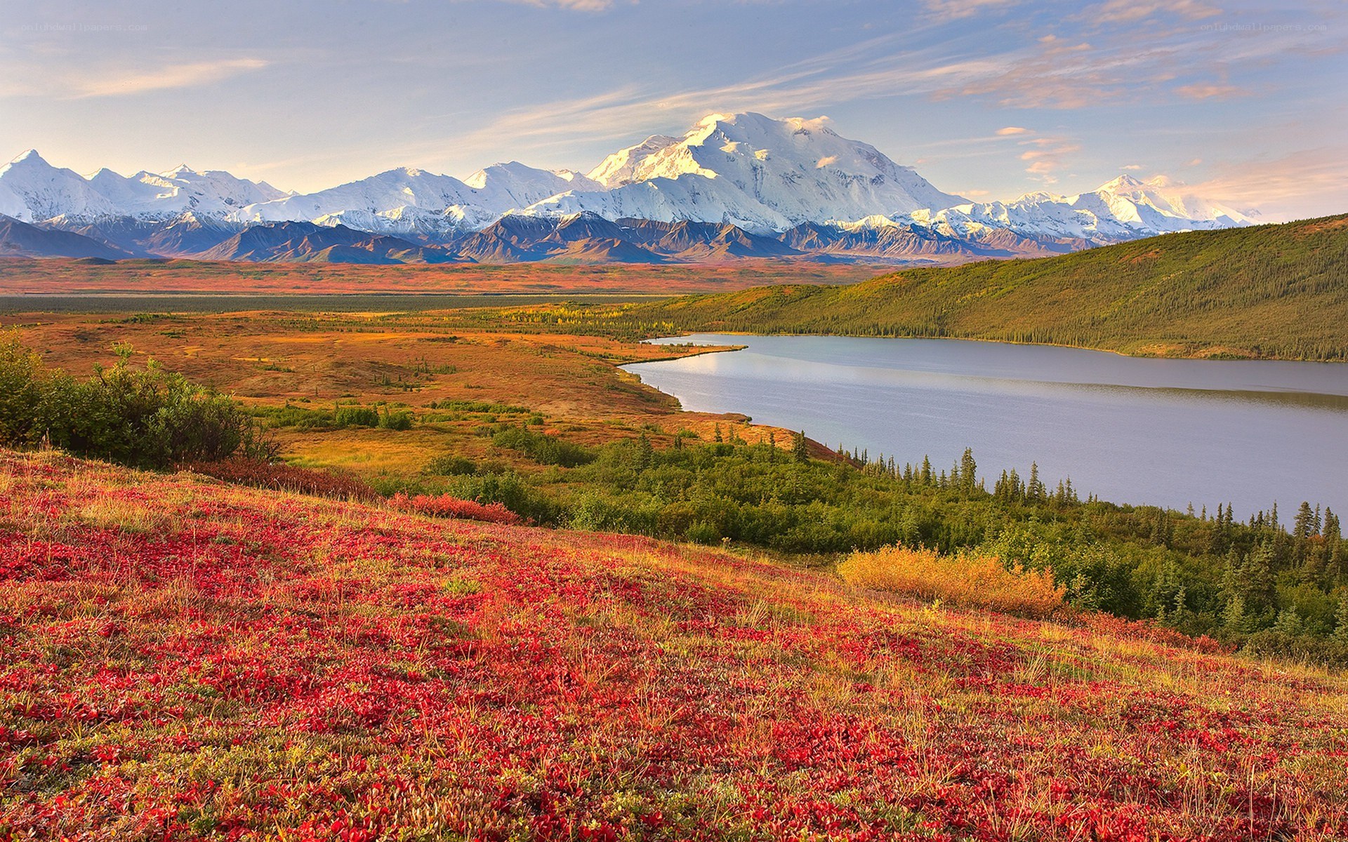 Autumn landscape with mountain