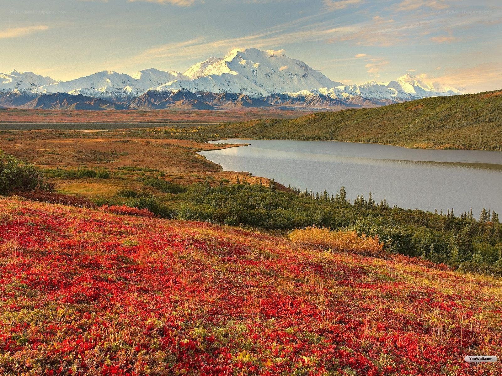 Autumn landscape with mountain