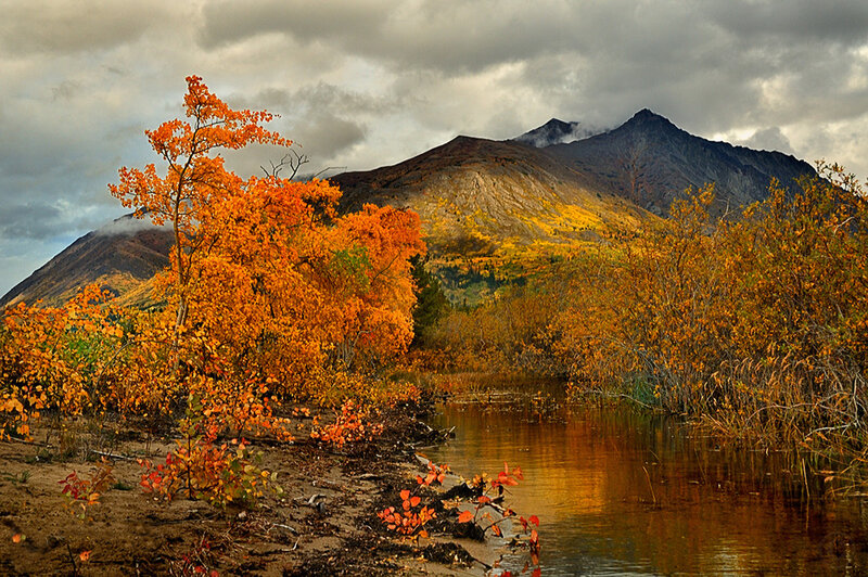 Autumn landscape with mountain