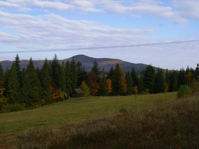 Autumn landscape with mountain