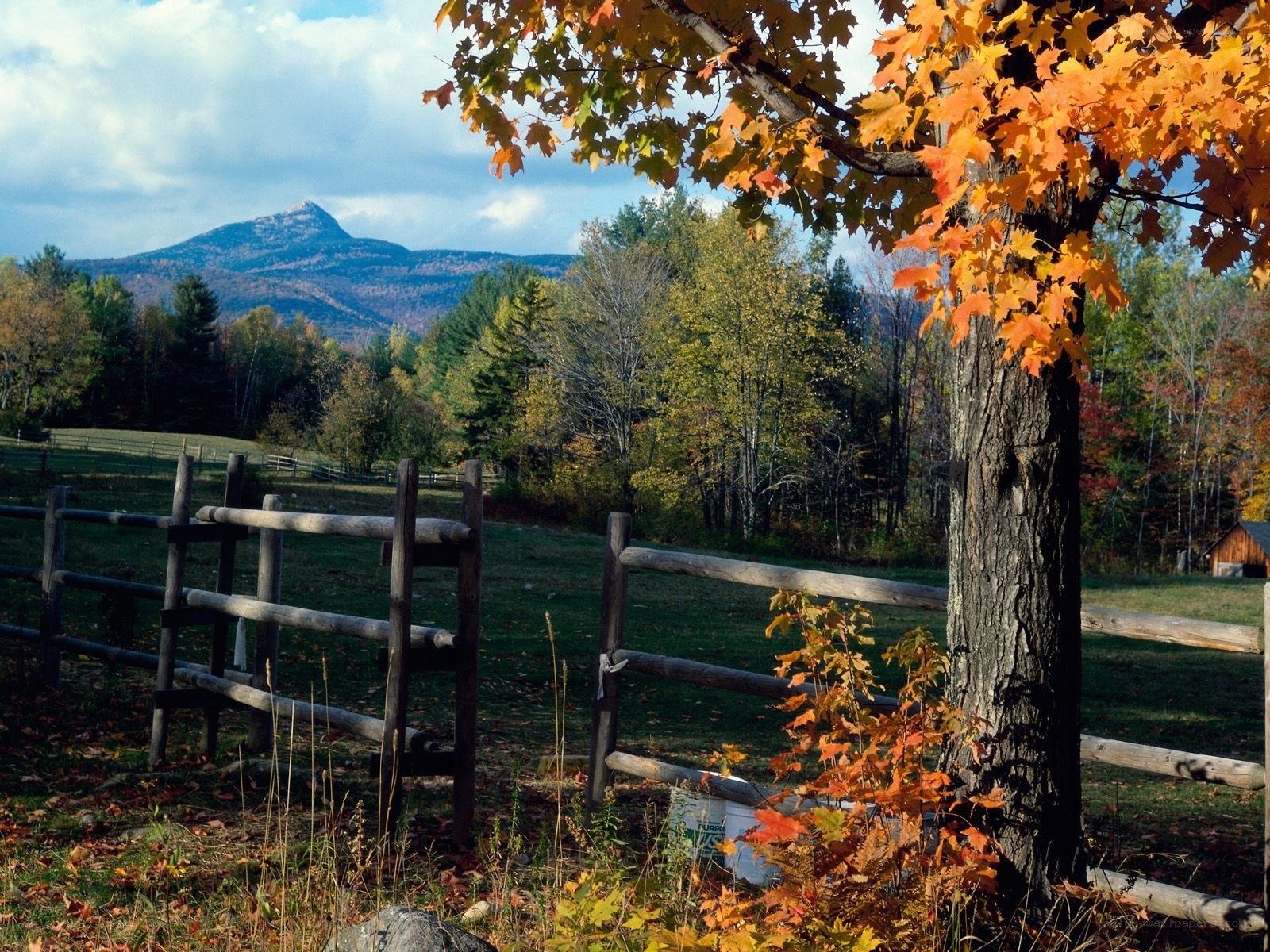 Autumn landscape with mountain view