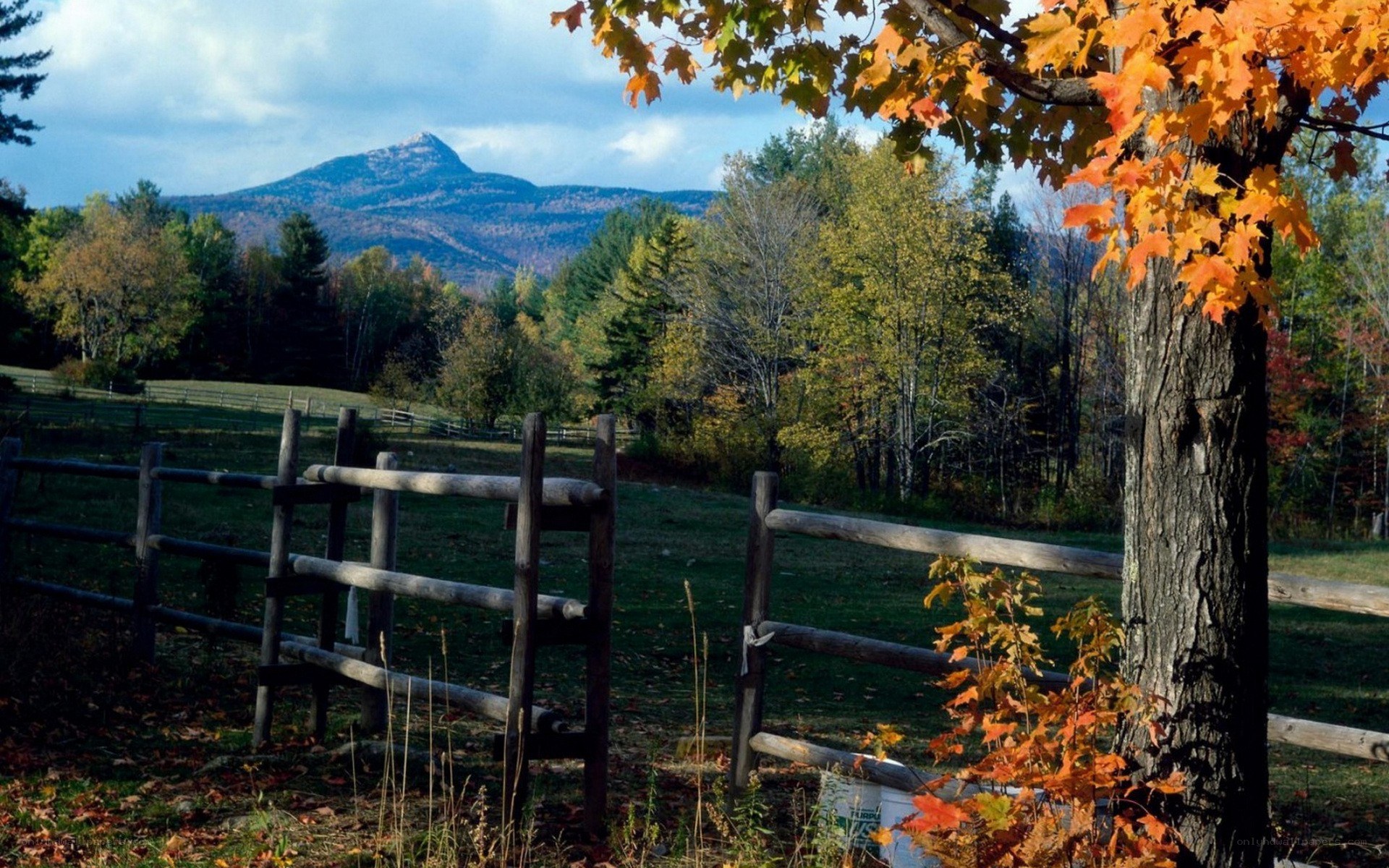 Autumn landscape with mountain view
