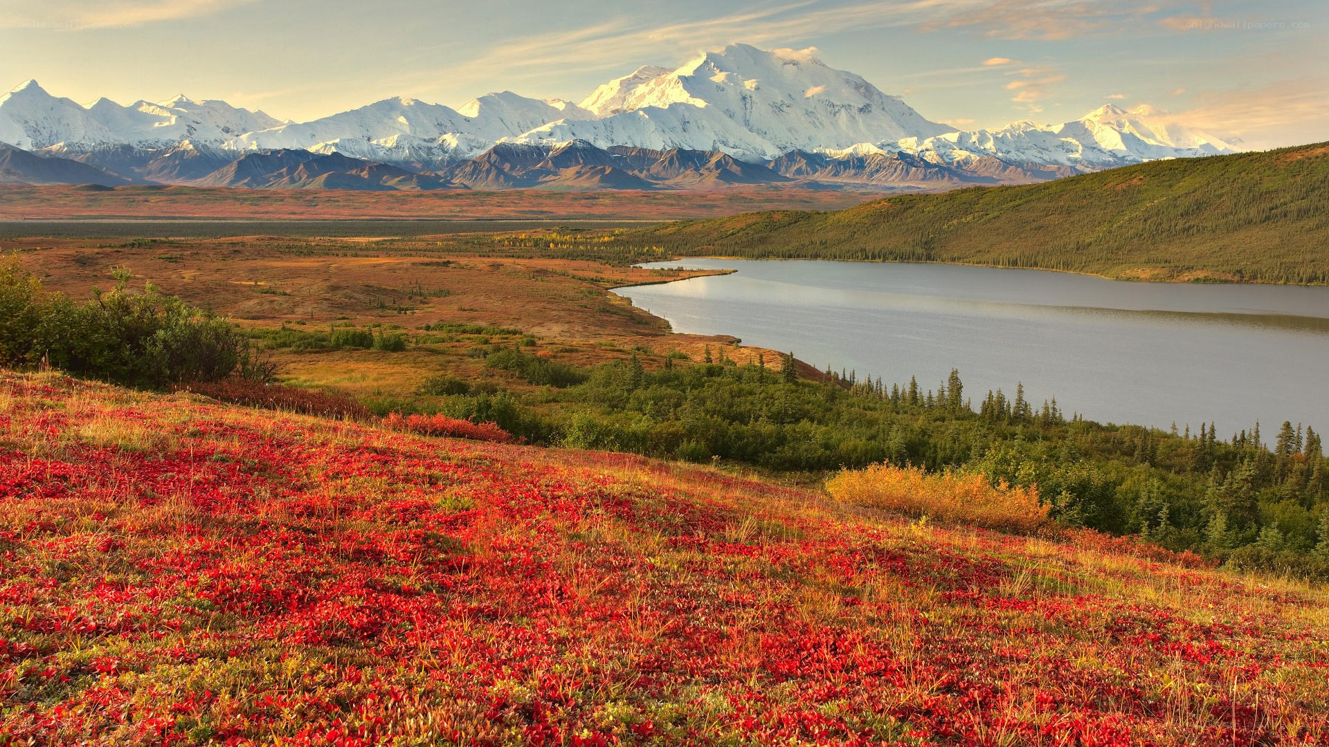 Autumn landscape with mountain view