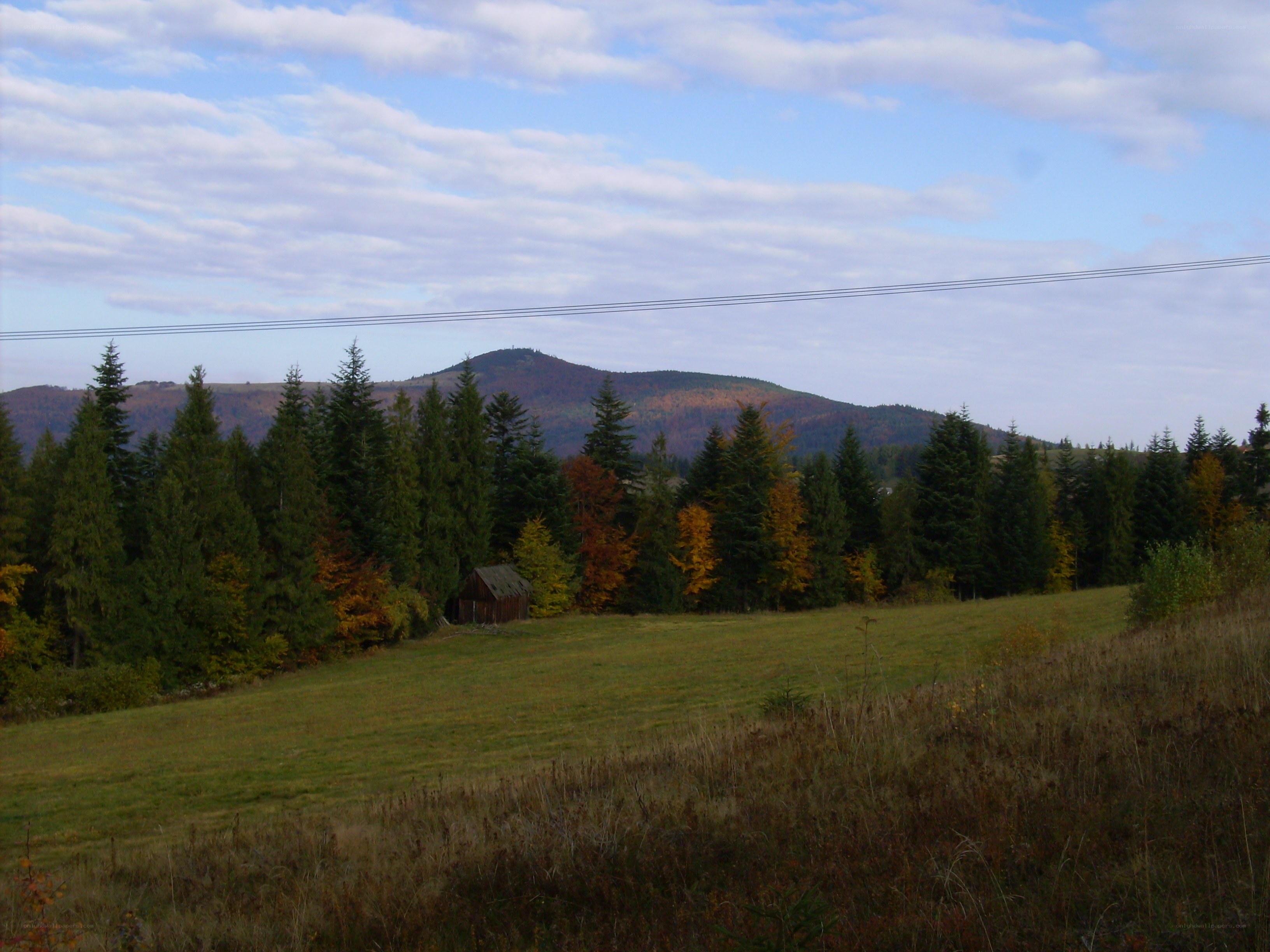 Autumn landscape with mountain
