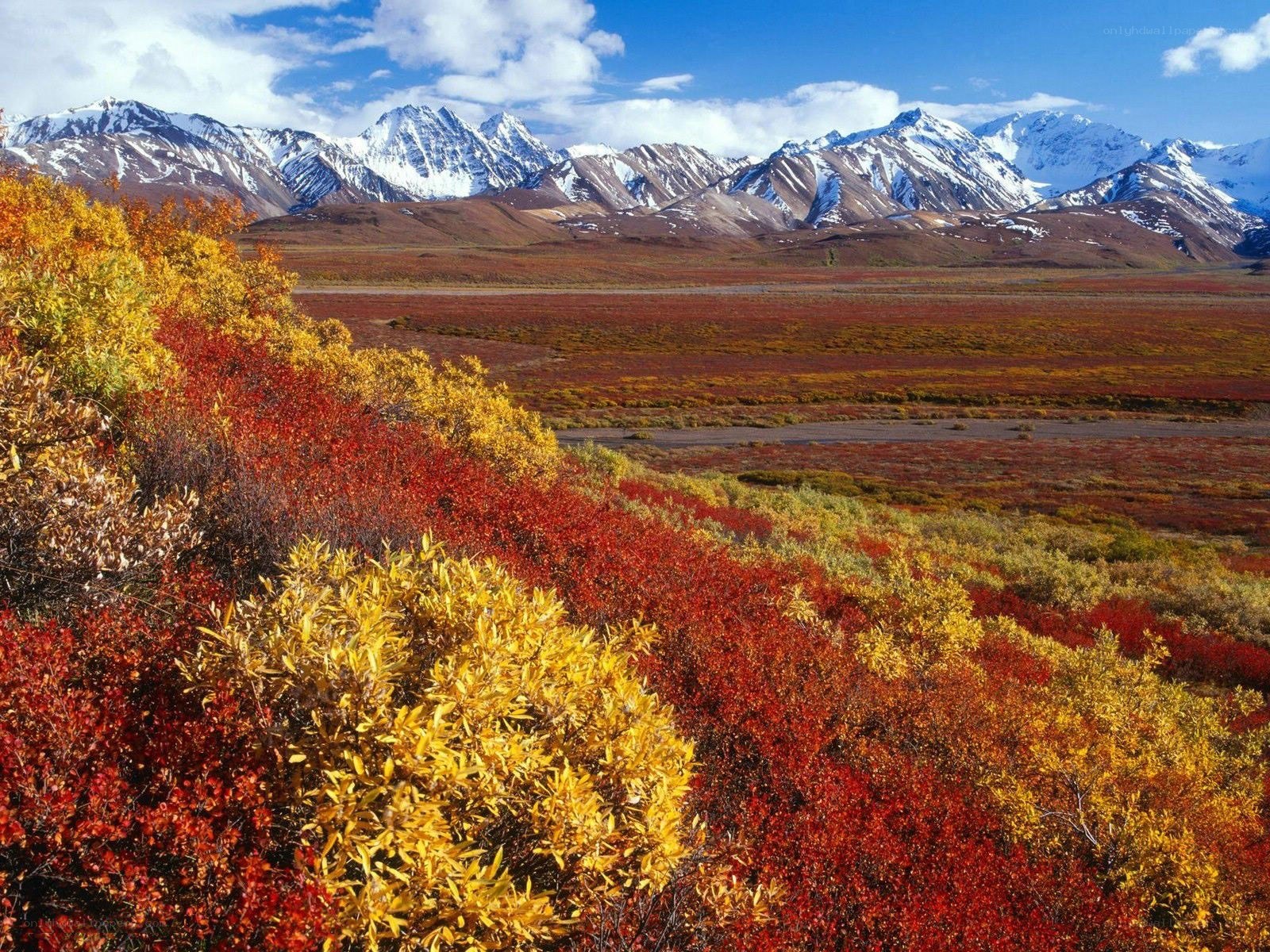 Autumn landscape with mountains