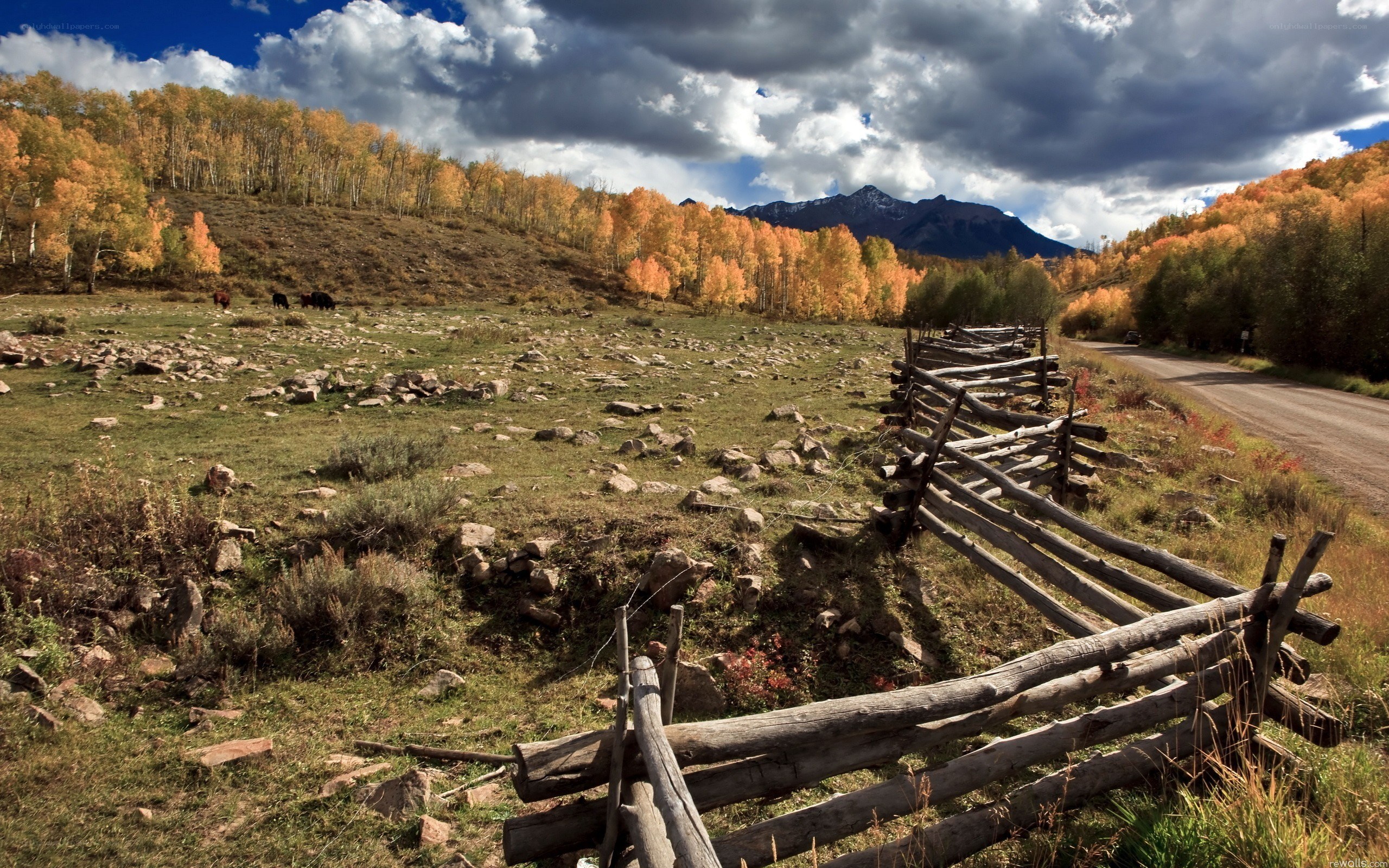 Autumn landscape with mountains