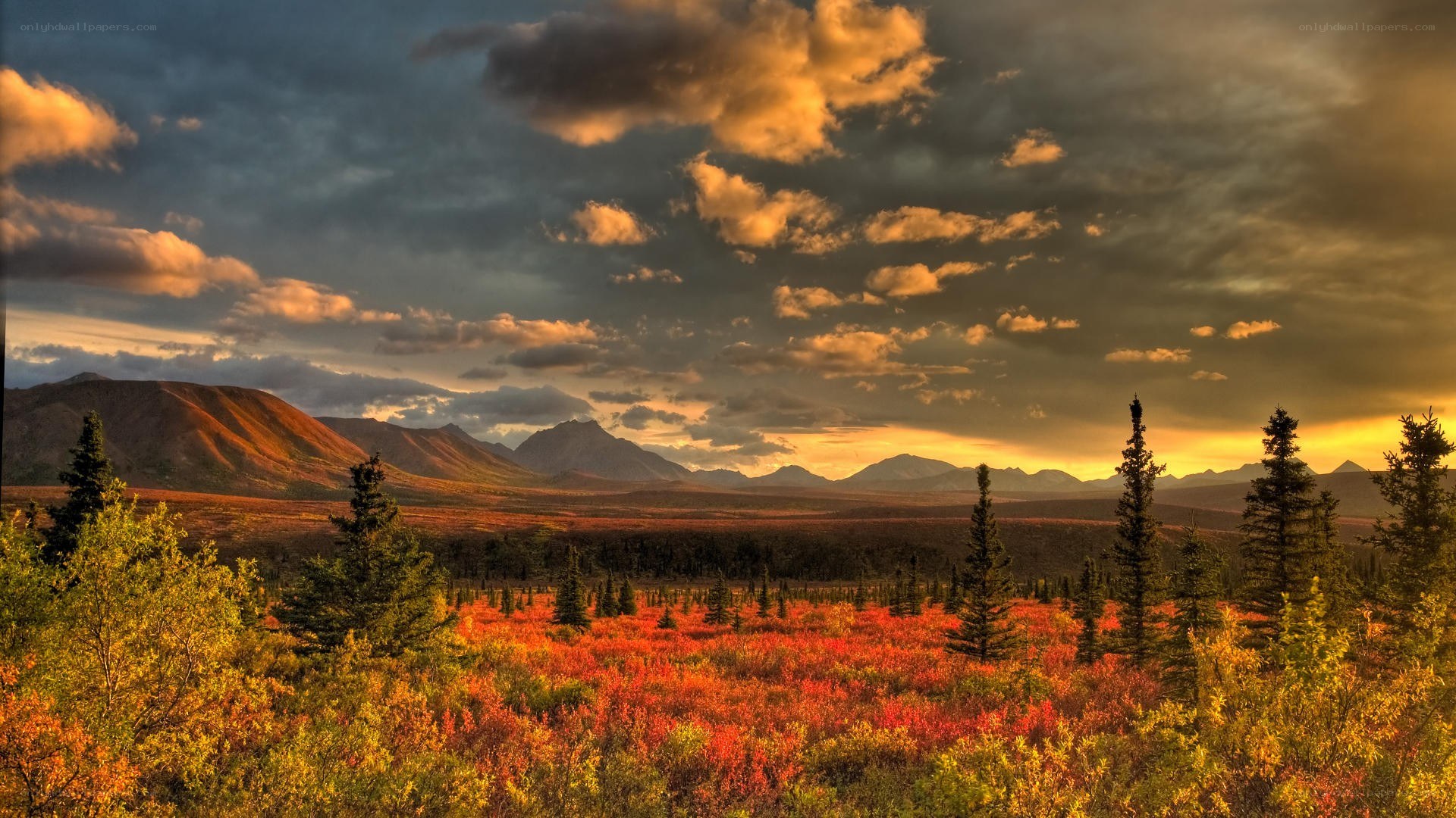 Autumn landscape with mountains