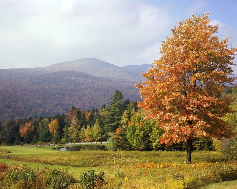 Autumn landscape with mountains