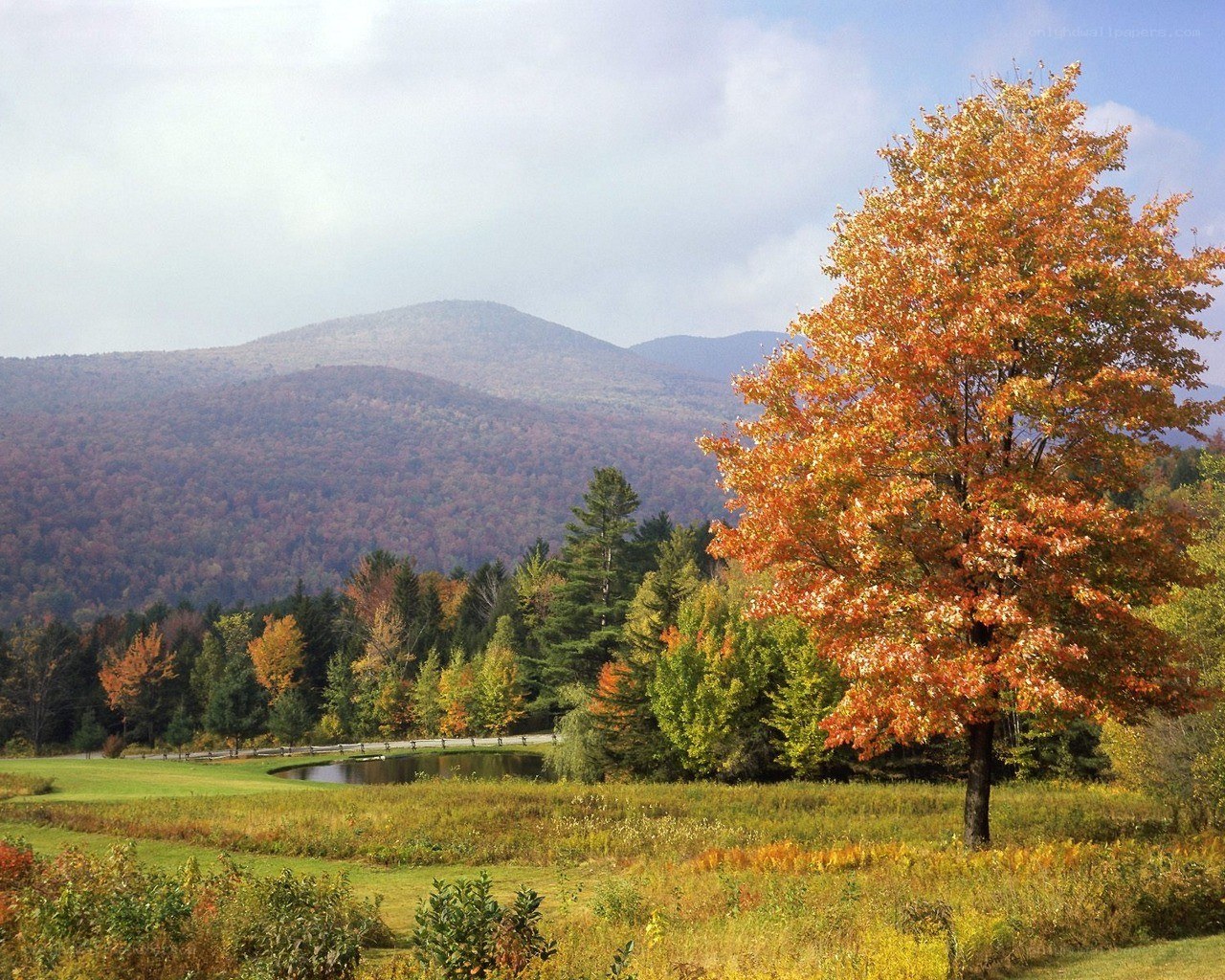 Autumn landscape with mountains