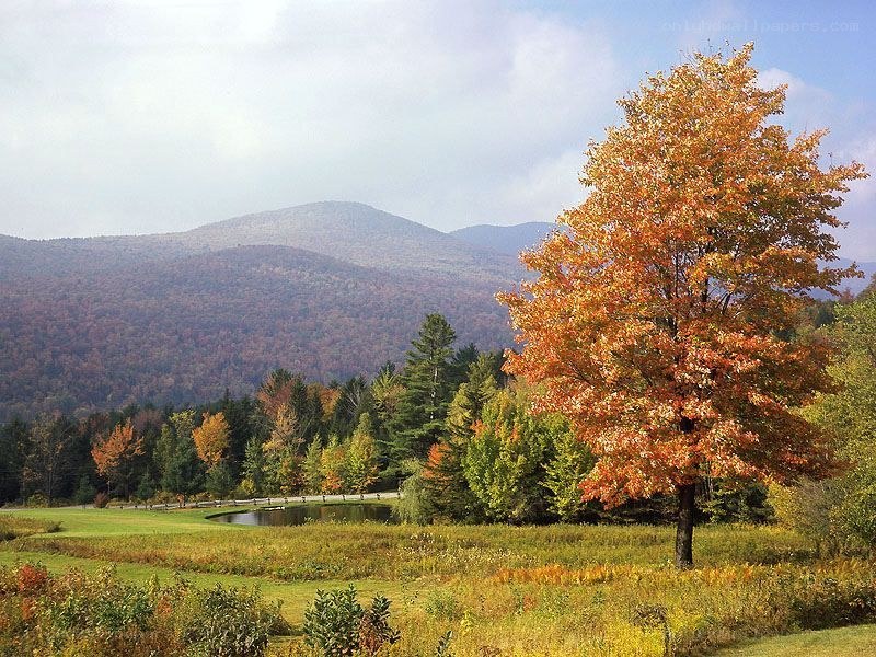 Autumn landscape with mountains