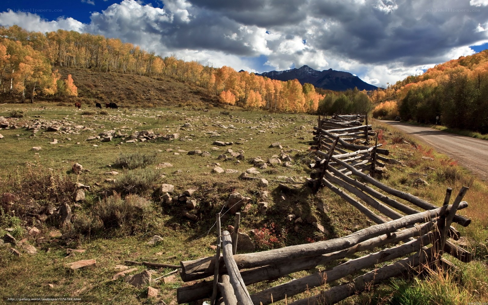 Autumn landscape with mountains