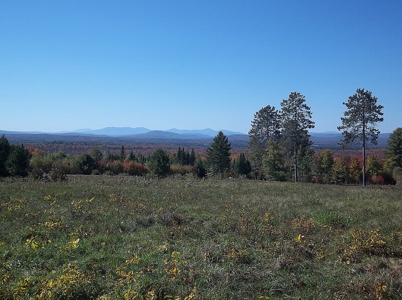Autumn Landscape with Mountains — Blue, Serene
