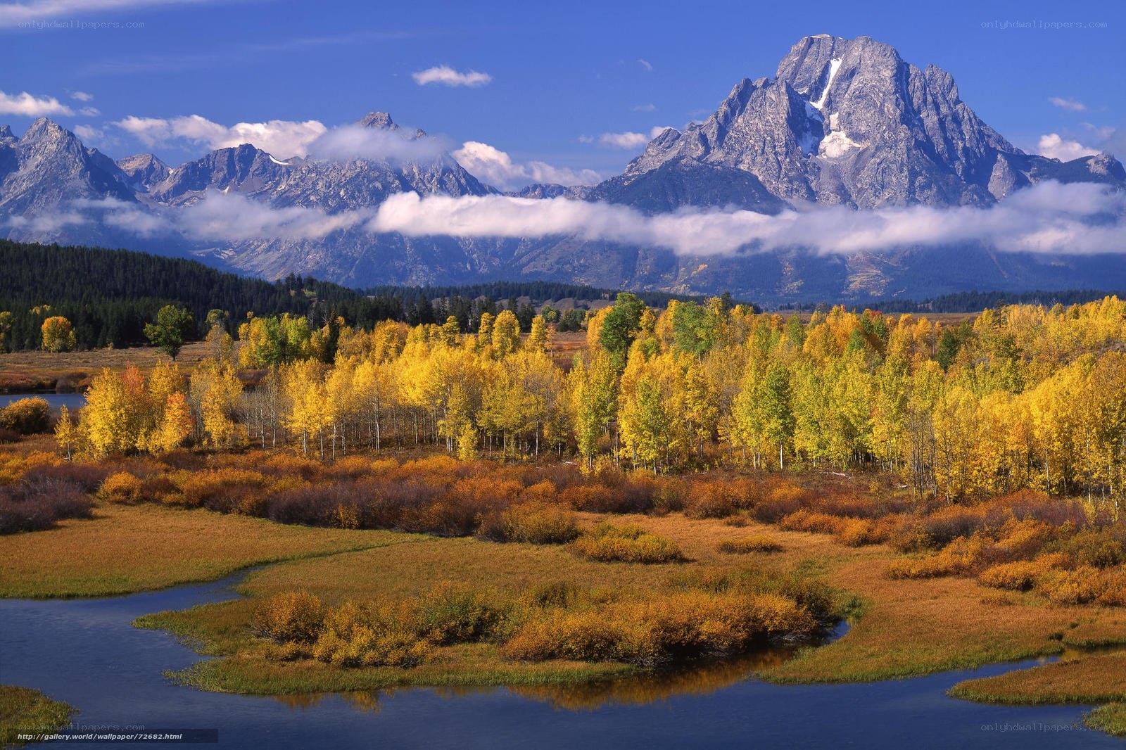 Autumn landscape with mountains
