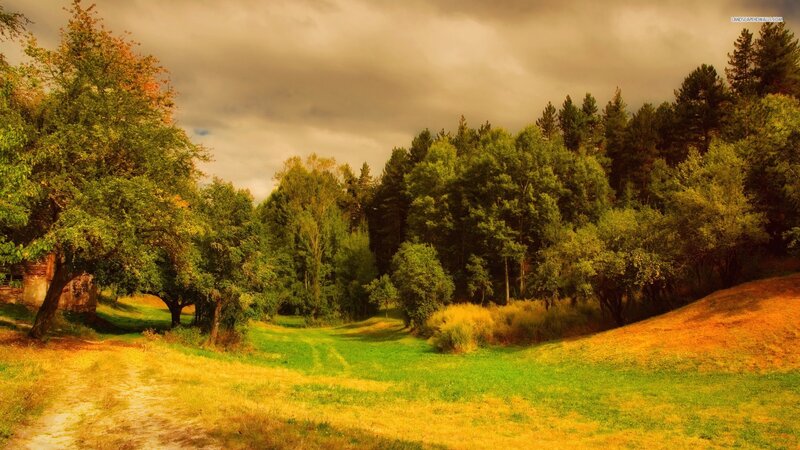 Autumn Landscape with Path — Green, Serene