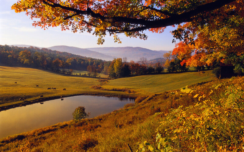 Autumn landscape with pond and hills