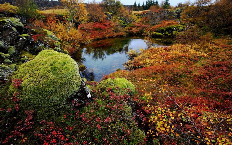 Autumn Landscape with Pond — Green, Serene