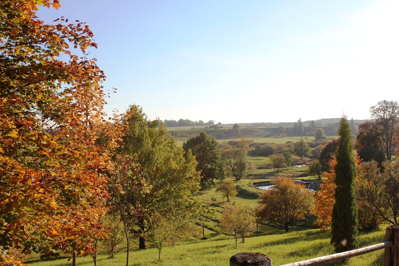 Autumn Landscape with Pond — Green