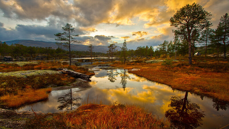 Autumn Landscape with Pond — Orange