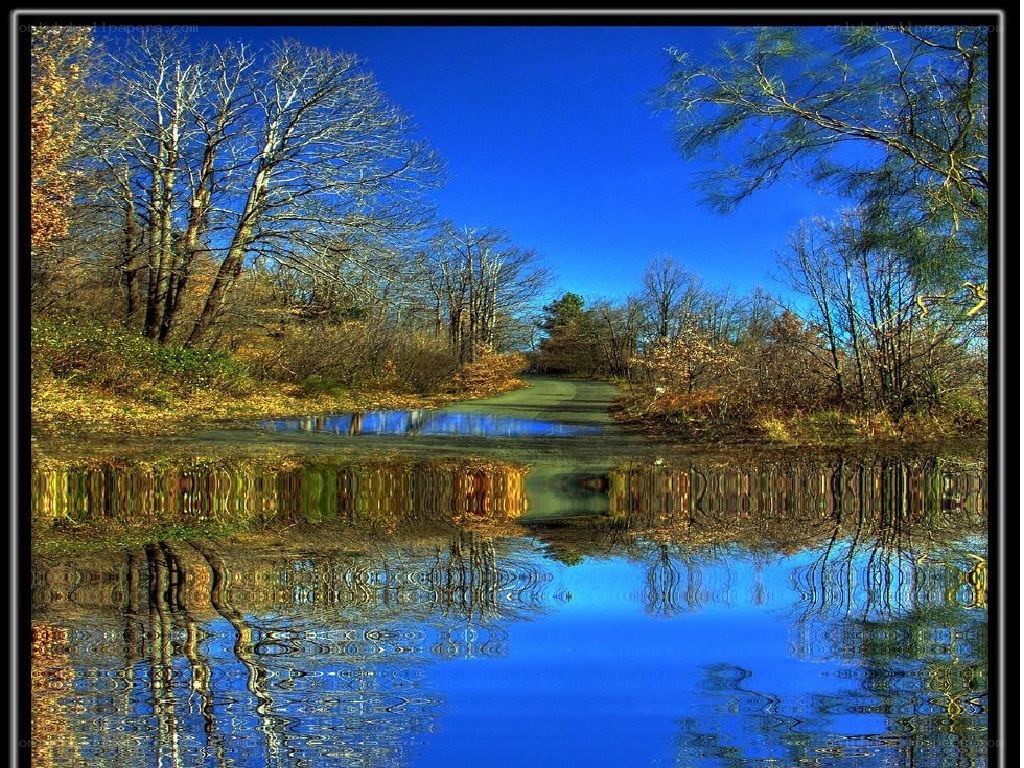 Autumn landscape with river reflection