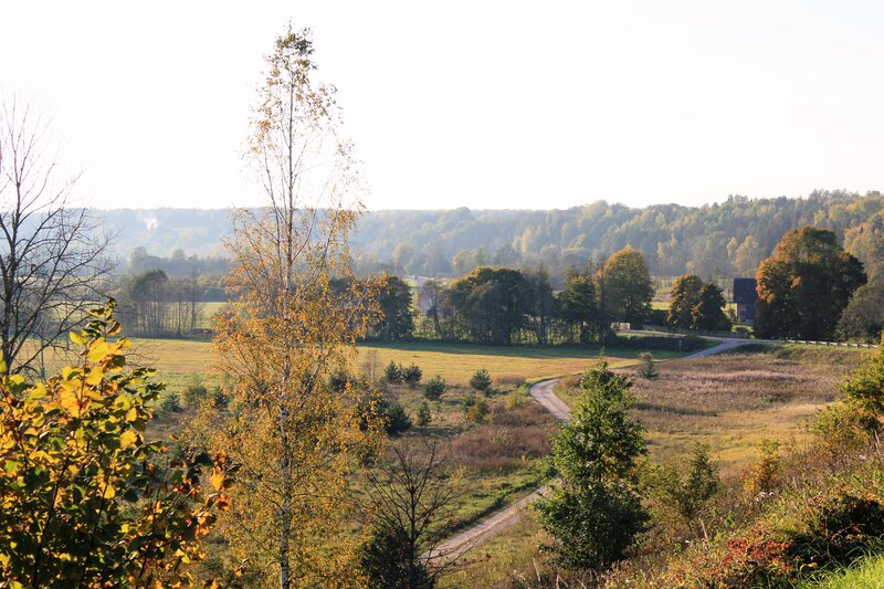 Autumn Landscape with Road