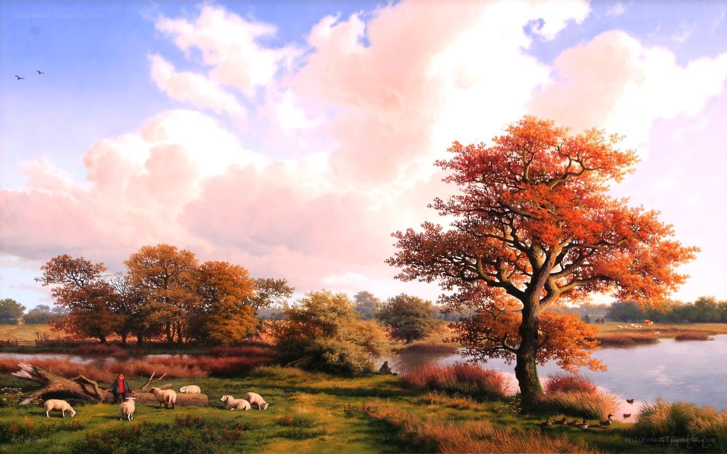 Autumn landscape with sheep