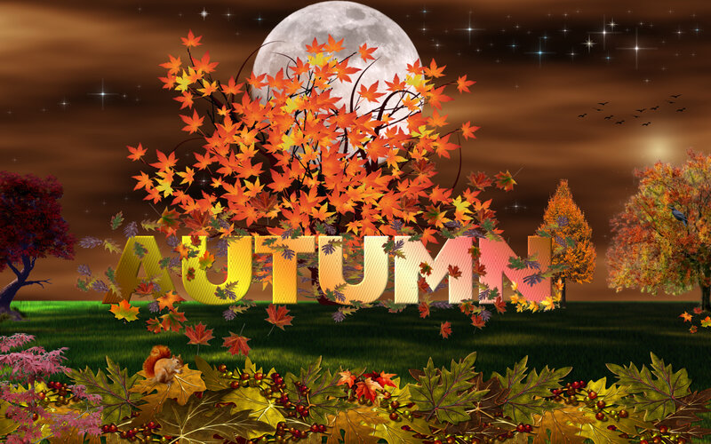 Autumn Landscape with Squirrel