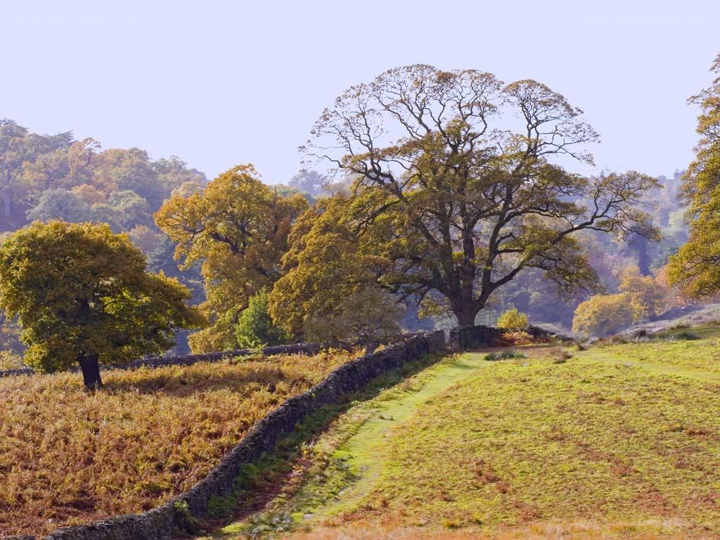 Autumn landscape with stone wall