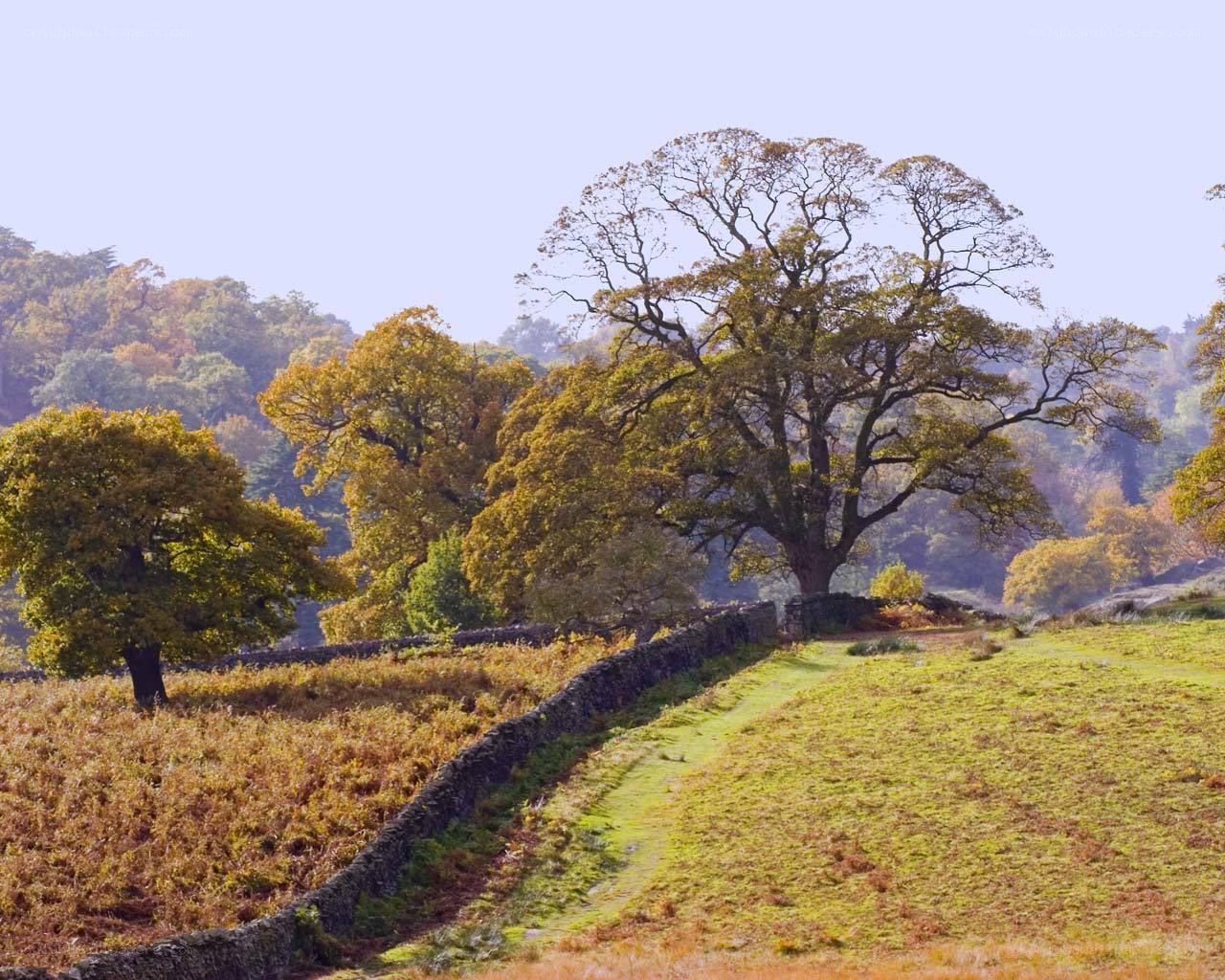 Autumn landscape with stone wall