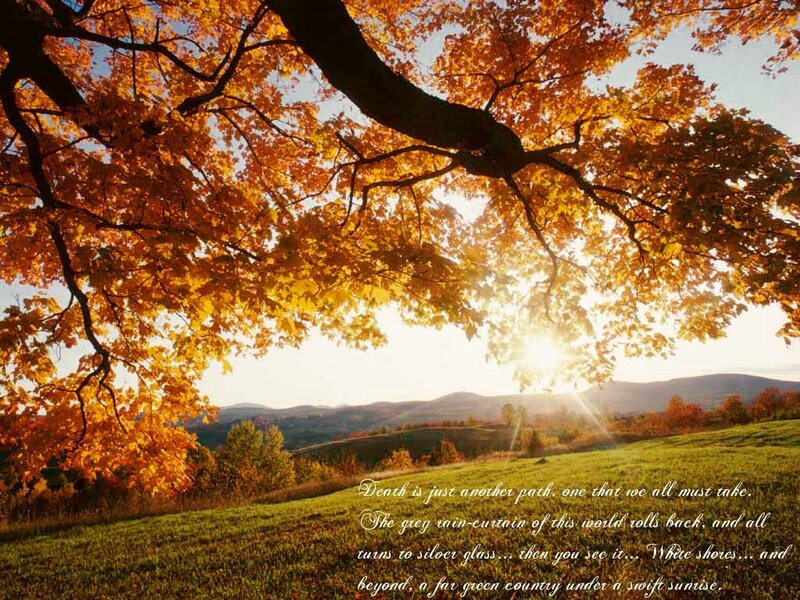 Autumn landscape with sunset