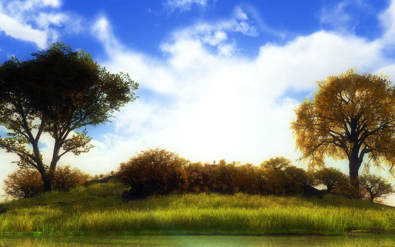 Autumn landscape with trees