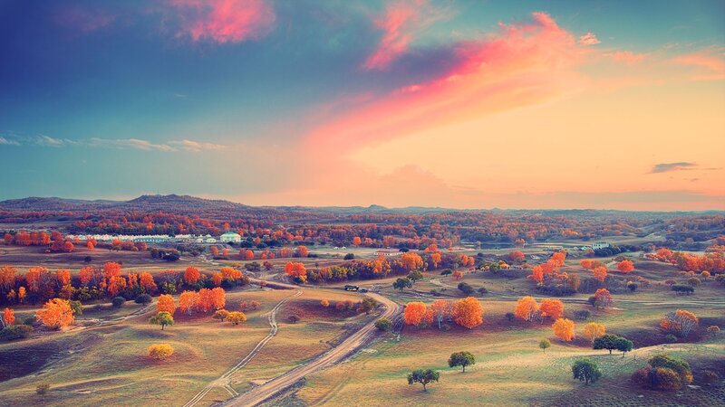 Autumn Landscape with Trees — Orange, Serene, Sunset