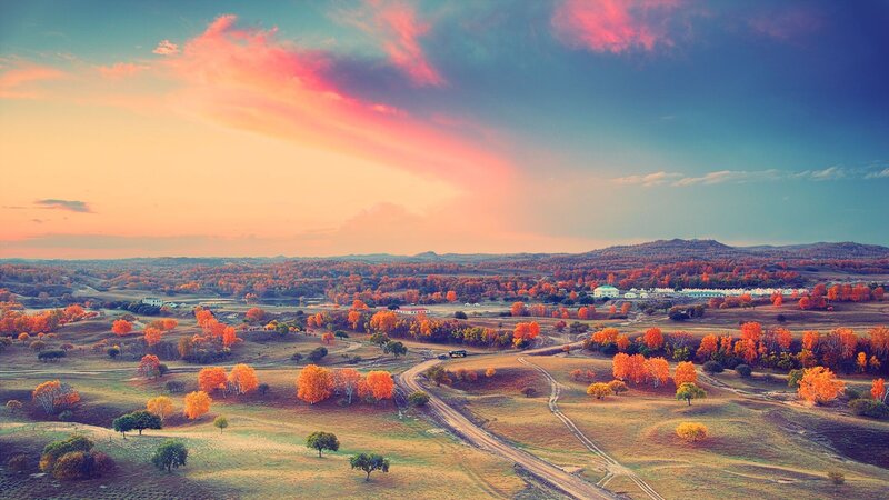 Autumn Landscape with Trees — Orange, Serene