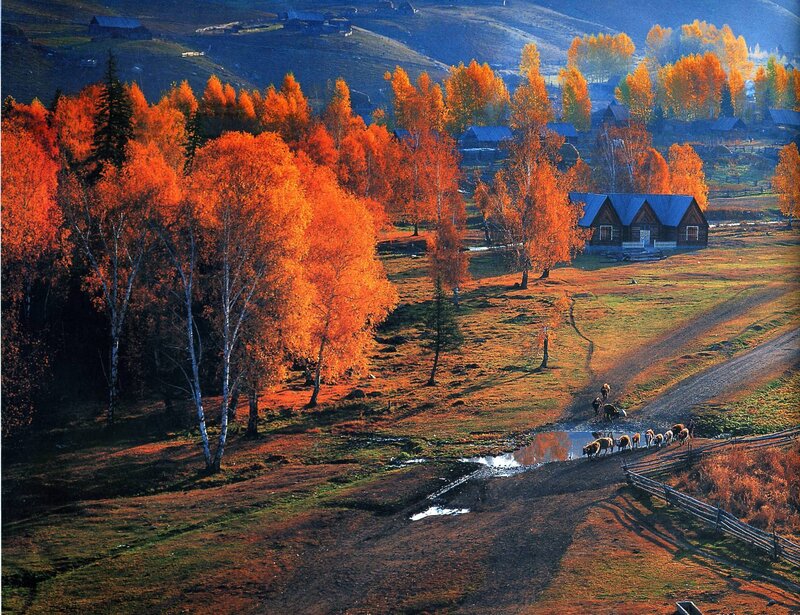 Autumn landscape with village