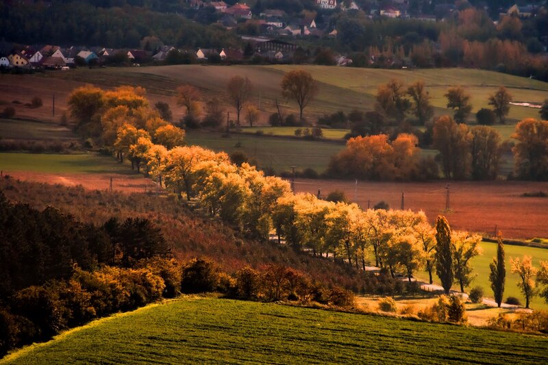 Autumn landscape with village