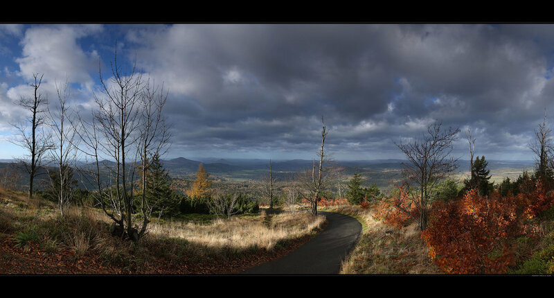 Autumn landscape with winding path